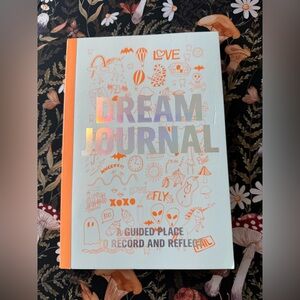Knock Knock Dream Journal - Orange and Silver